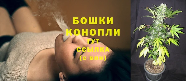 гидропоника Пестово