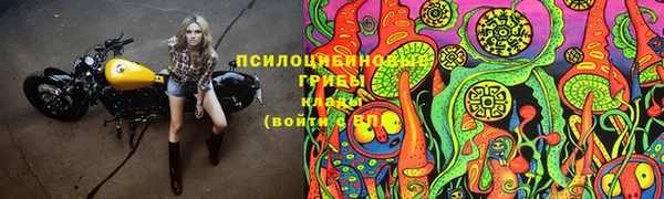 эйфоретик Балахна