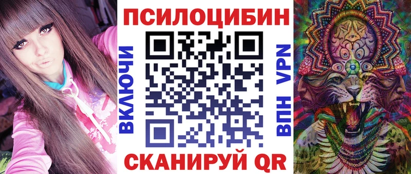 Галлюциногенные грибы MAGIC MUSHROOMS  где найти наркотики  Серафимович 